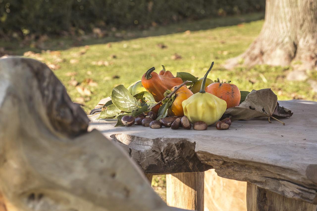 Ca' Ciaran Bed and Breakfast Chiarano Buitenkant foto